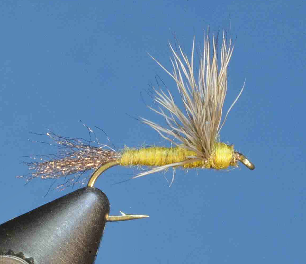 J21-08SDOL product image