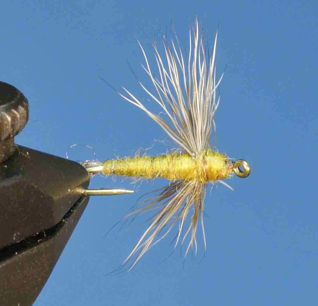 J21-08SDOL product image