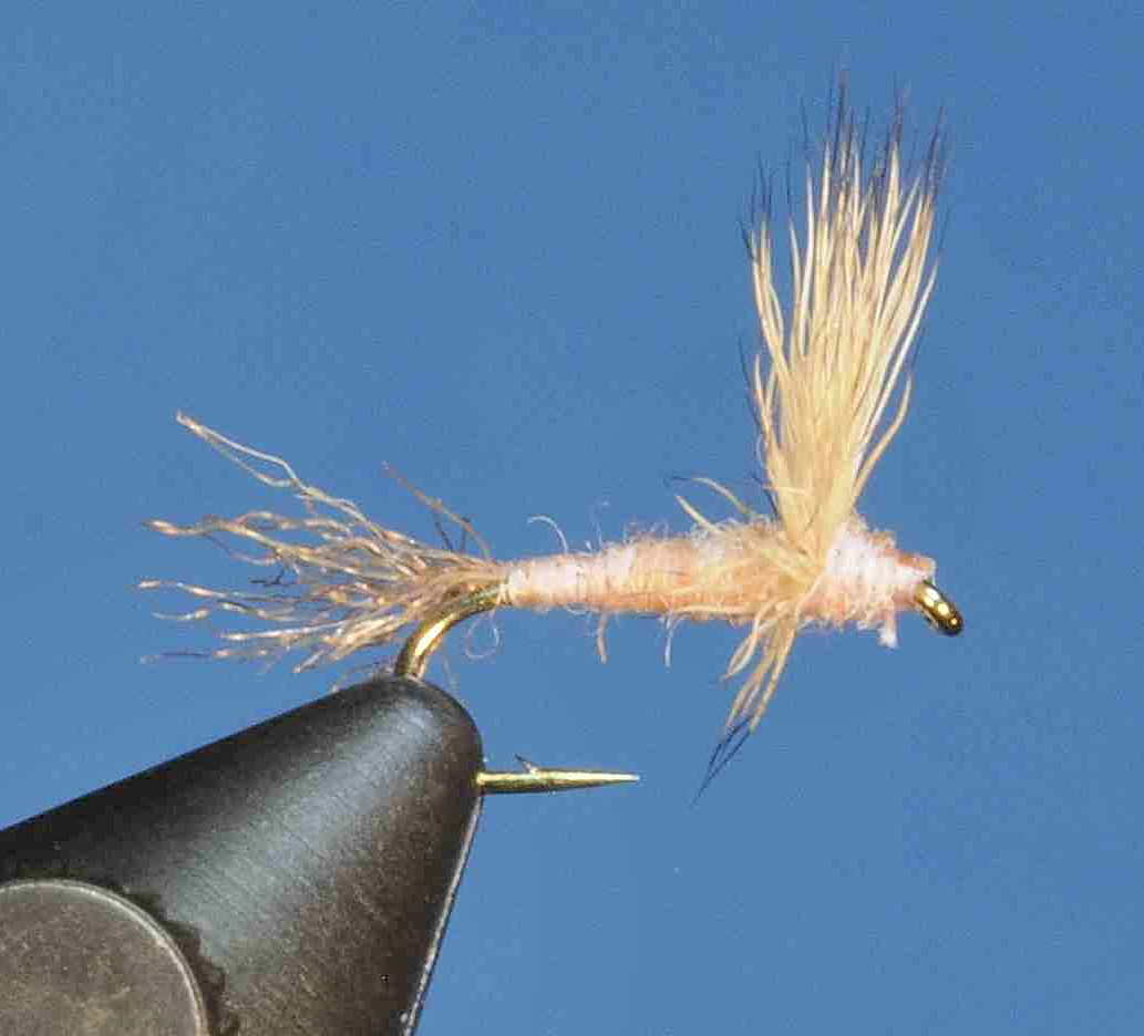 J21-08SDPC product image