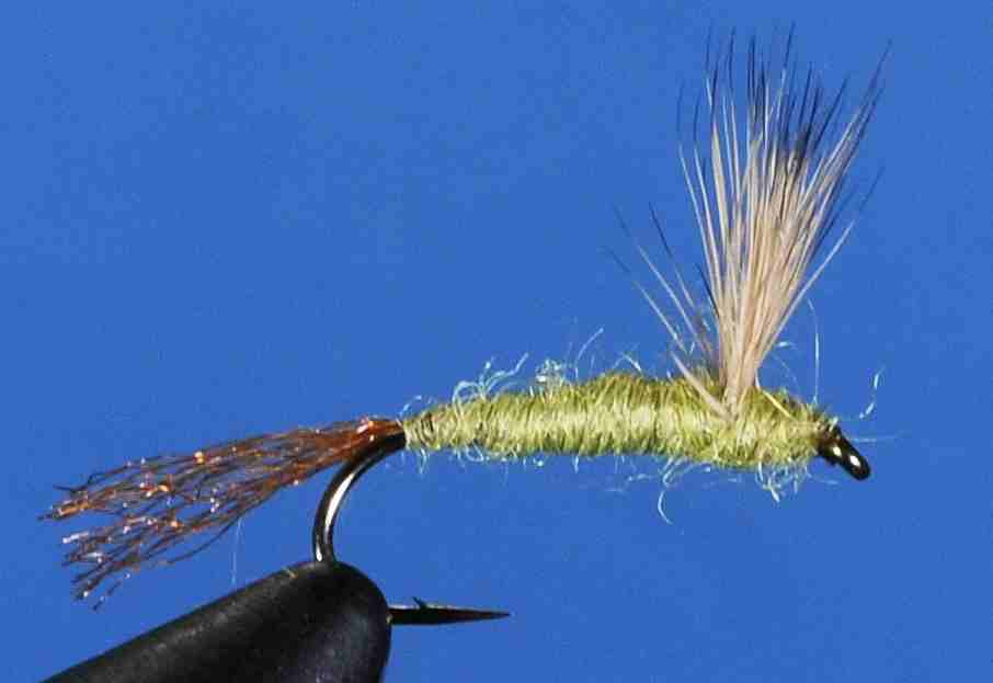 J21-08SDSU product image