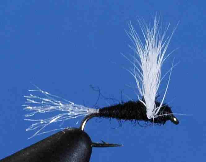 J21-08SDTR product image