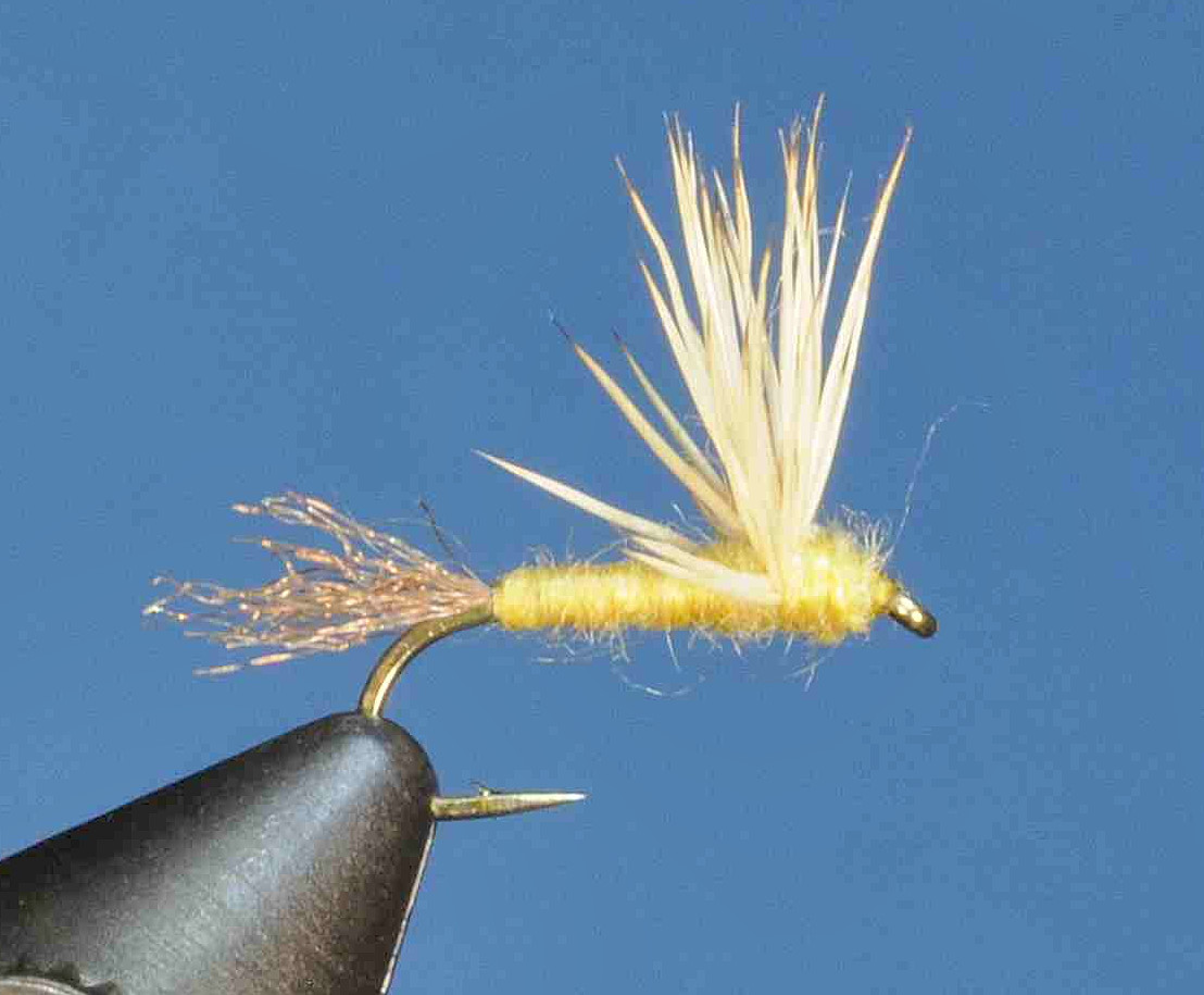 J21-08SDYL product image