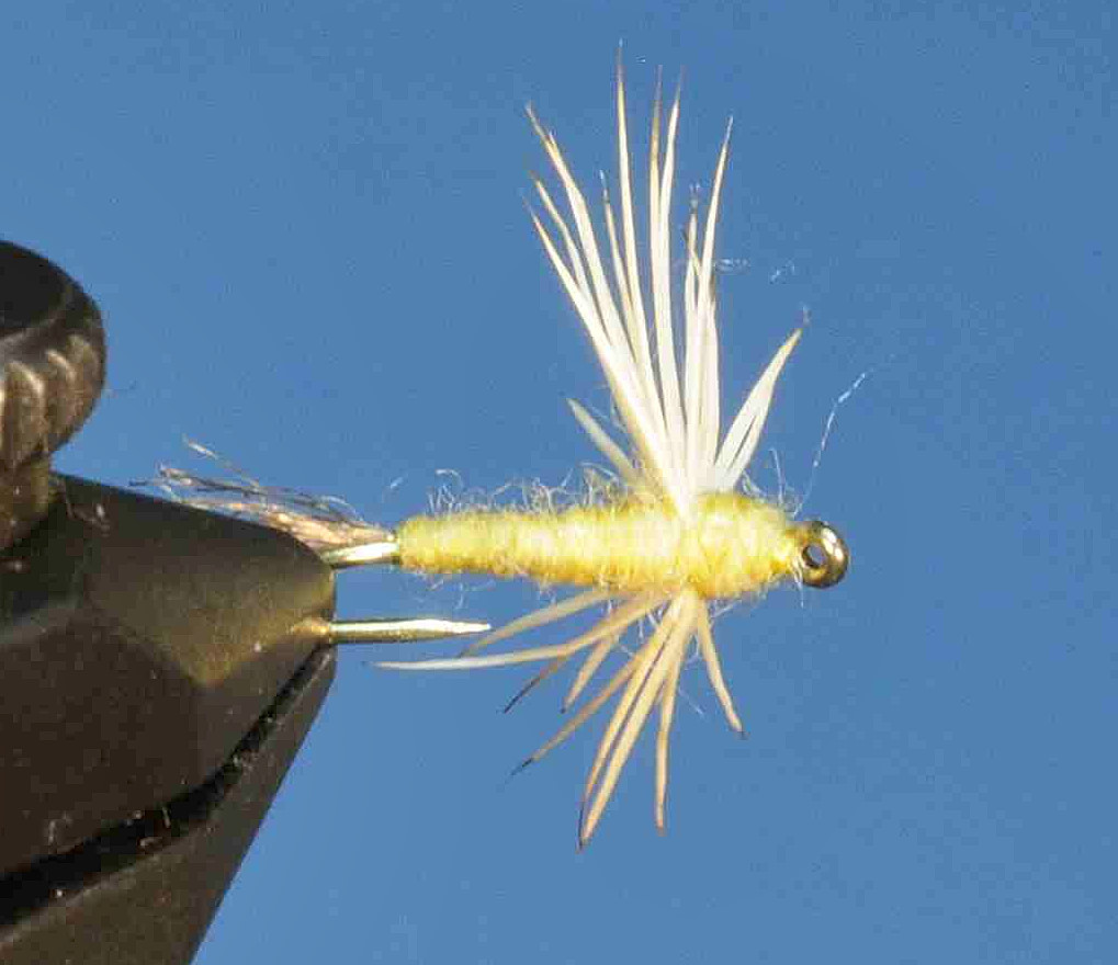 J21-08SDYL product image