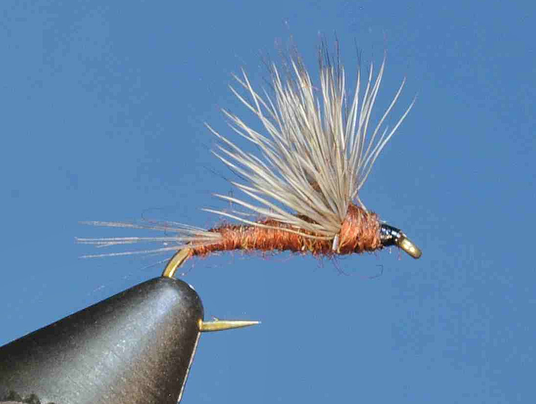 J21-08SLMG product image