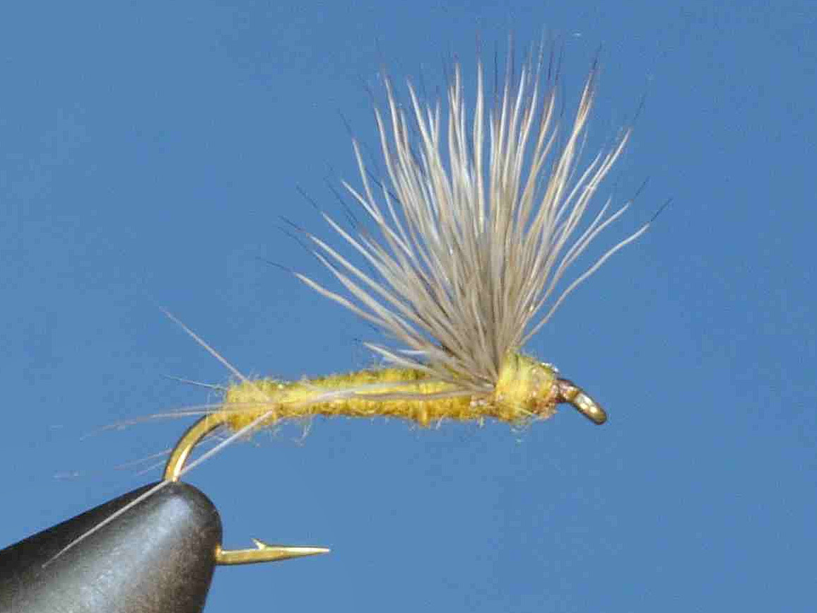 J21-08SLOL product image