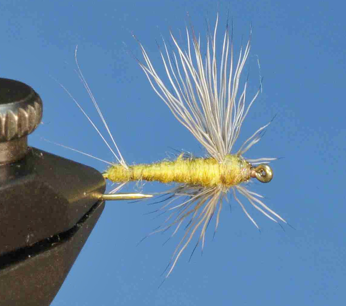 J21-08SLOL product image