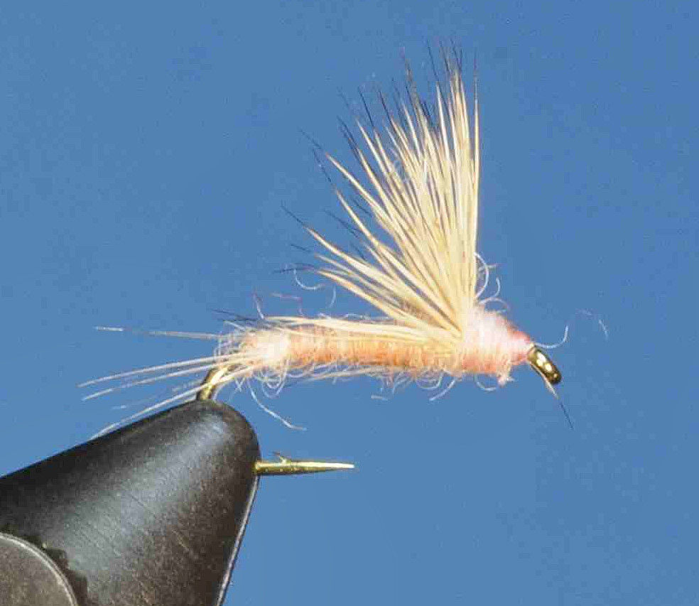 J21-08SLPC product image