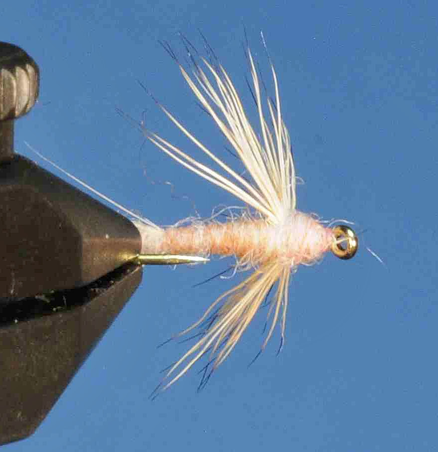 J21-08SLPC product image