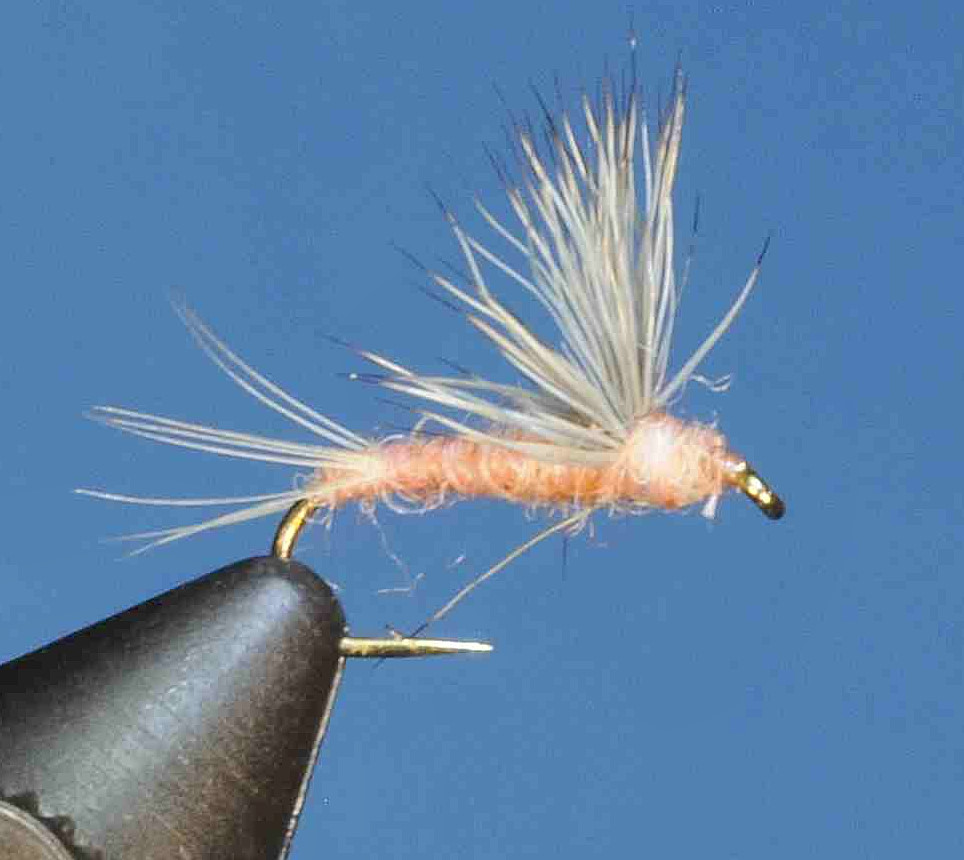 J21-08SLPD product image