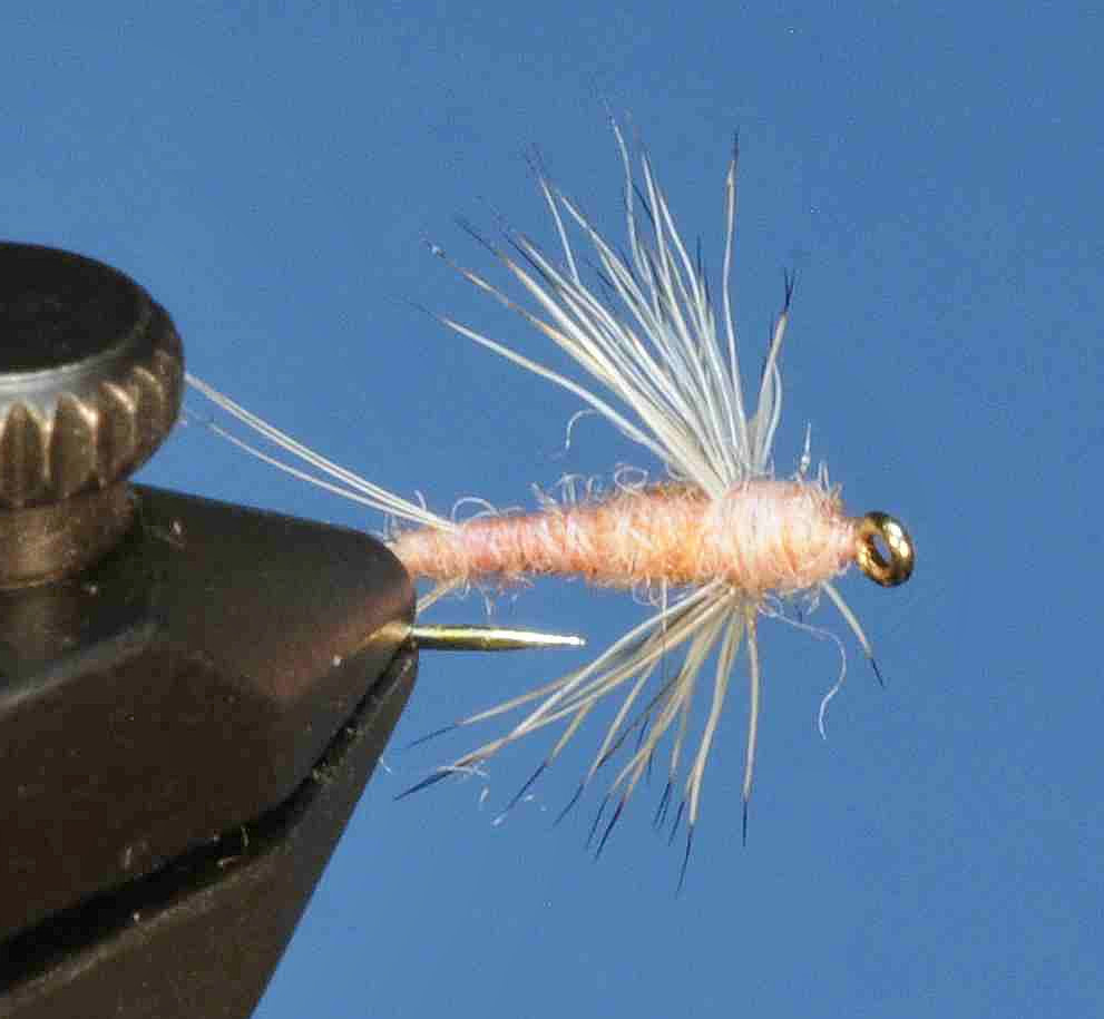 J21-08SLPD product image