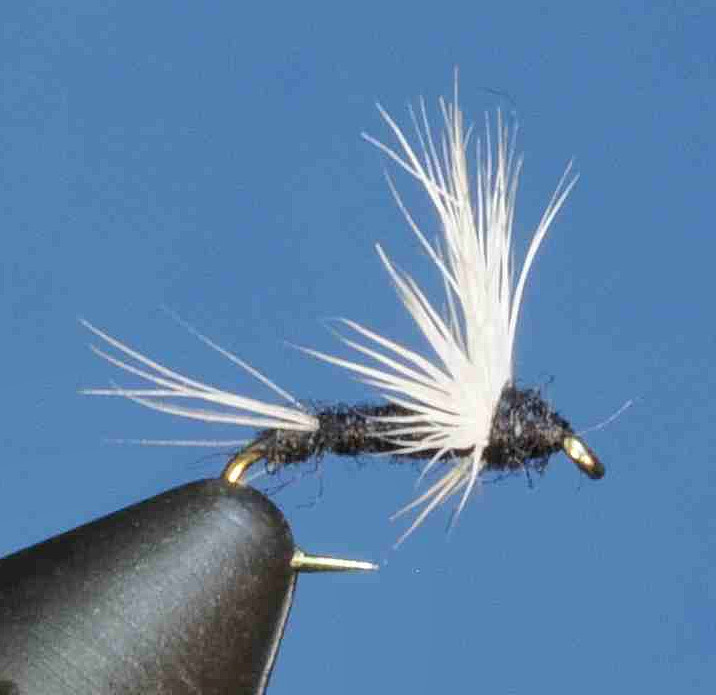 J21-08SLTC product image