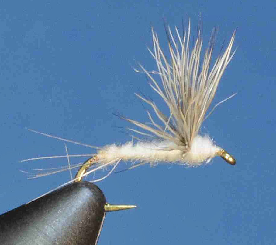 J21-08SLTN product image