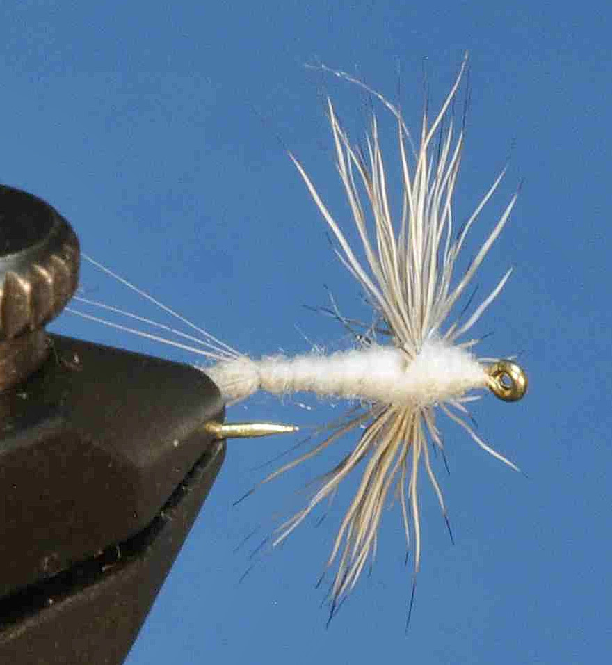 J21-08SLTN product image