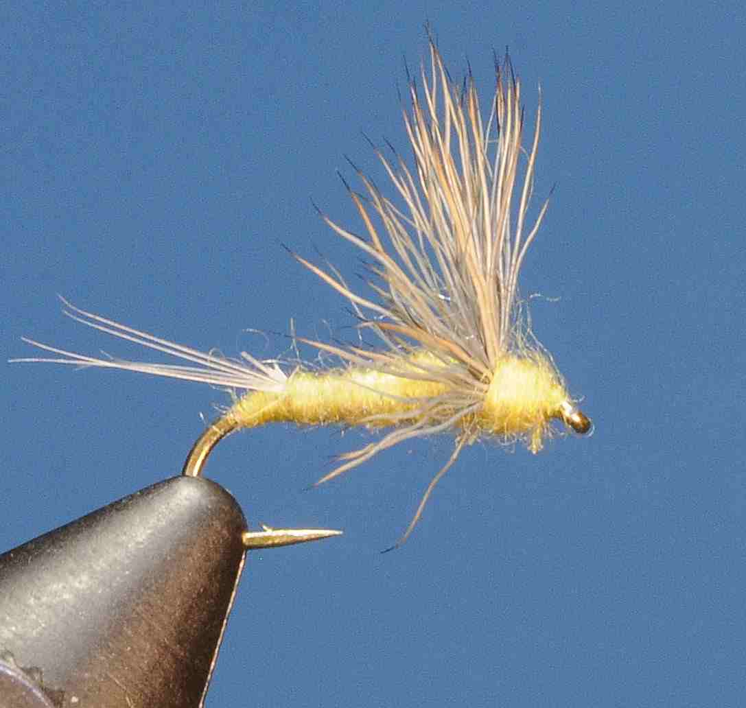 J21-08SLYD product image