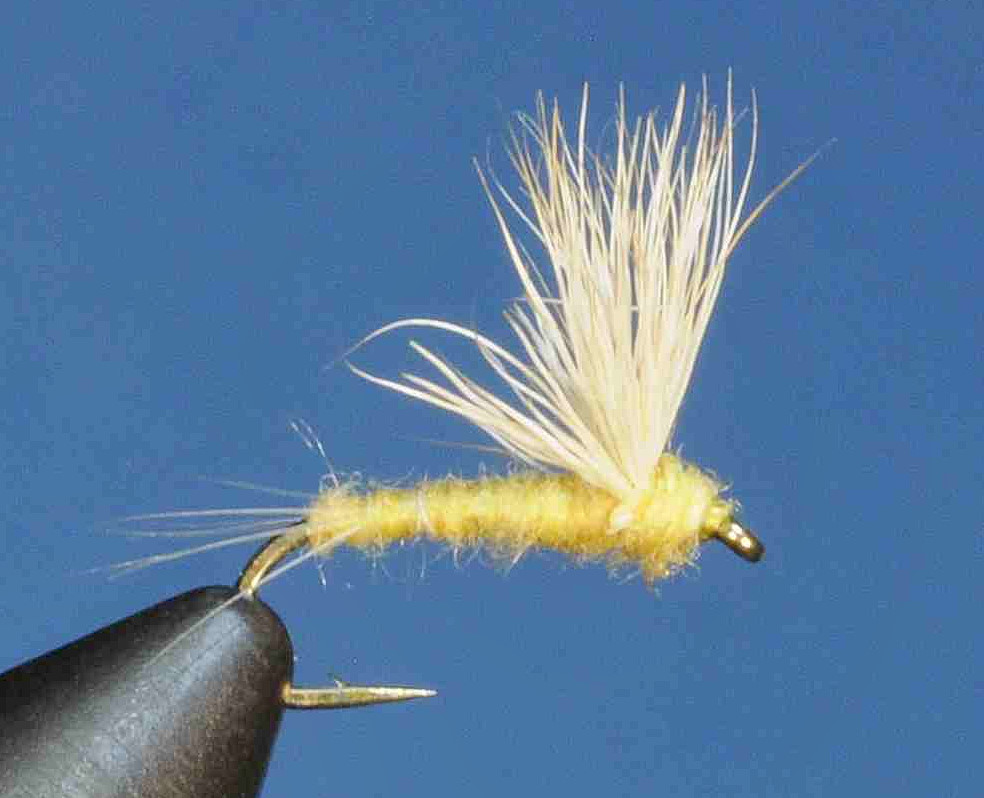 J21-08SLYL product image