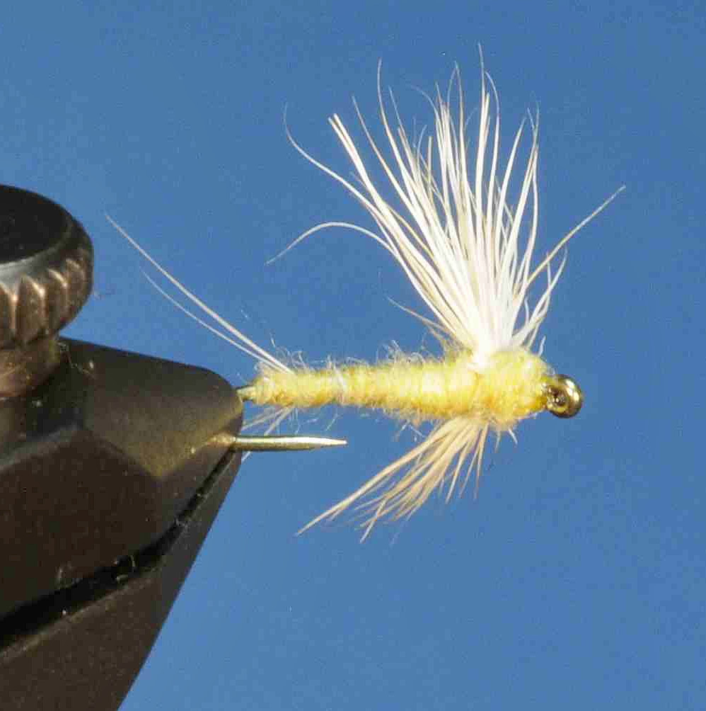 J21-08SLYL product image