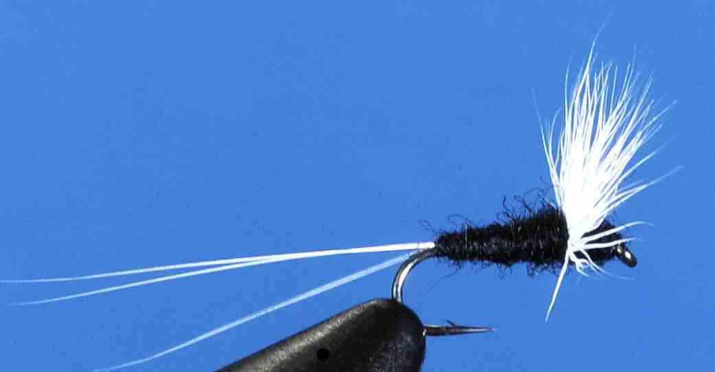 J21-08WHBK product image