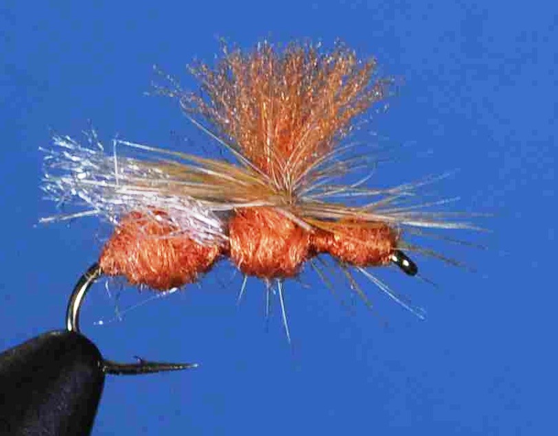 J21-09ARPR product image