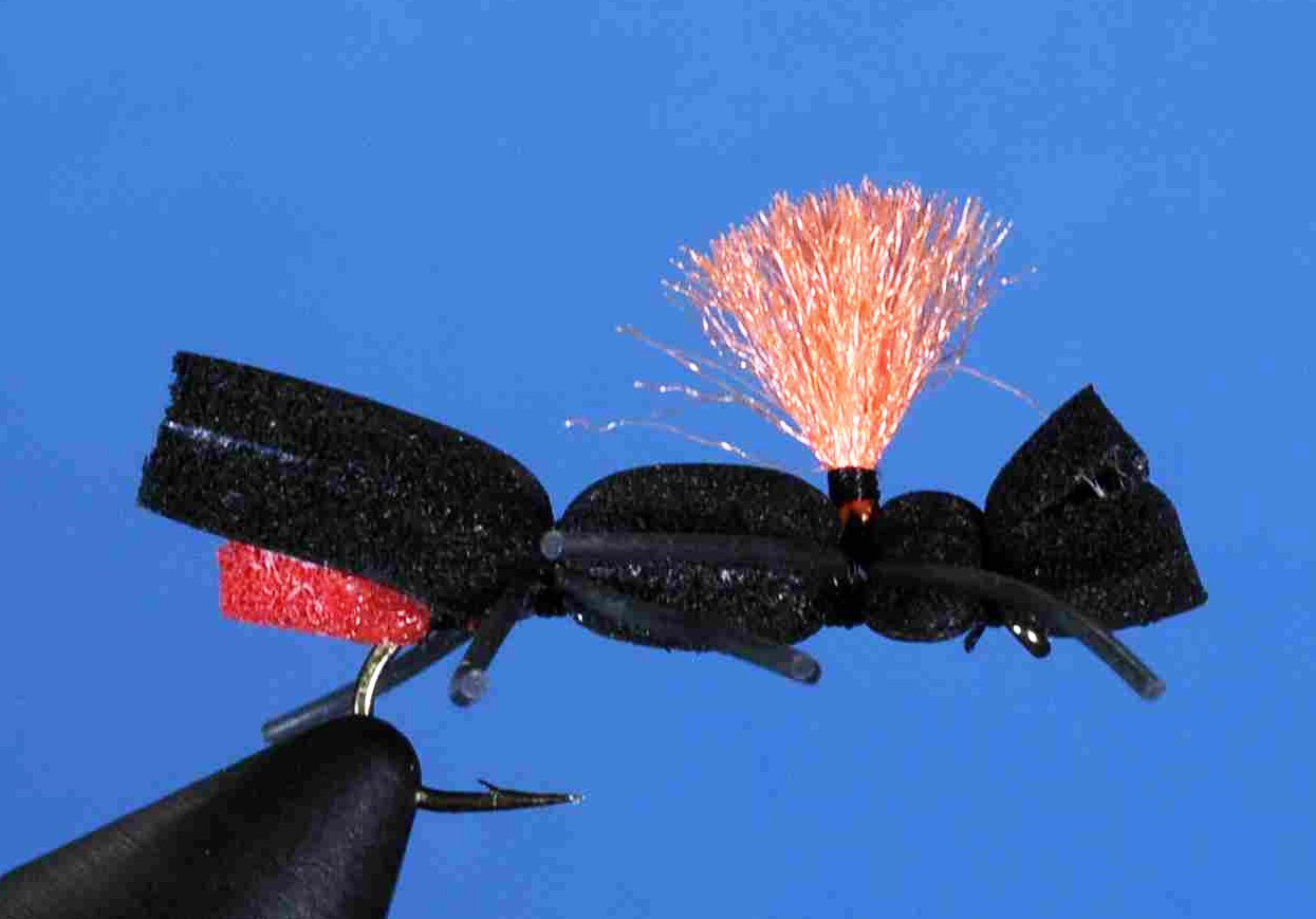 J21-09CABK product image