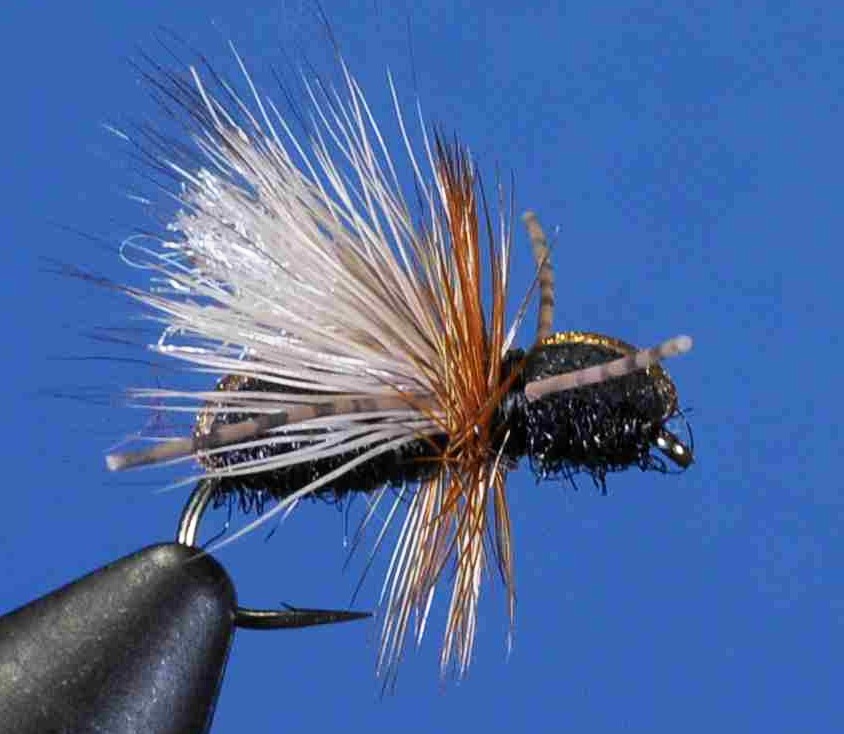 J21-09CFFB product image