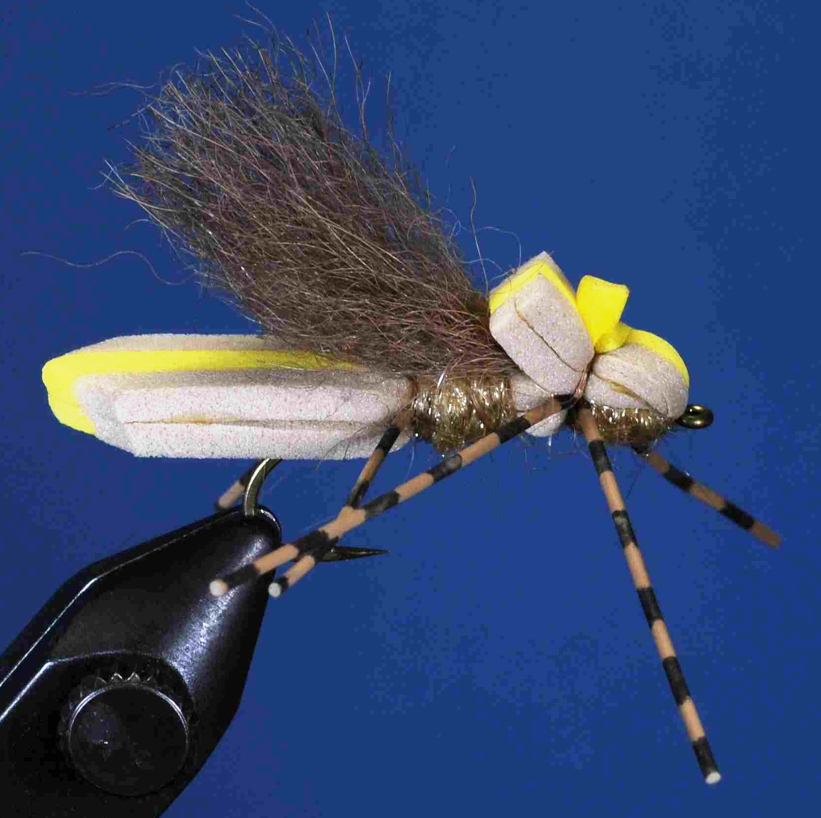 J21-09CHPT product image