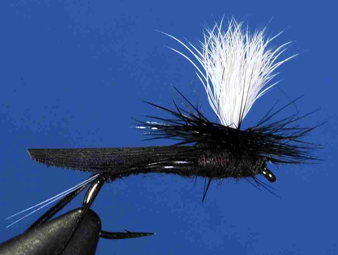 J21-09CRPR product image