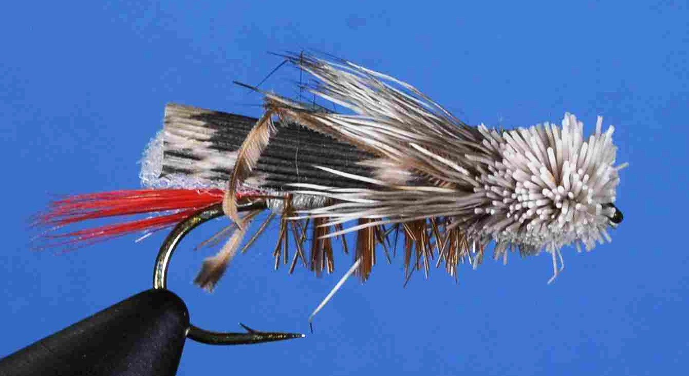 J21-09DHTN product image