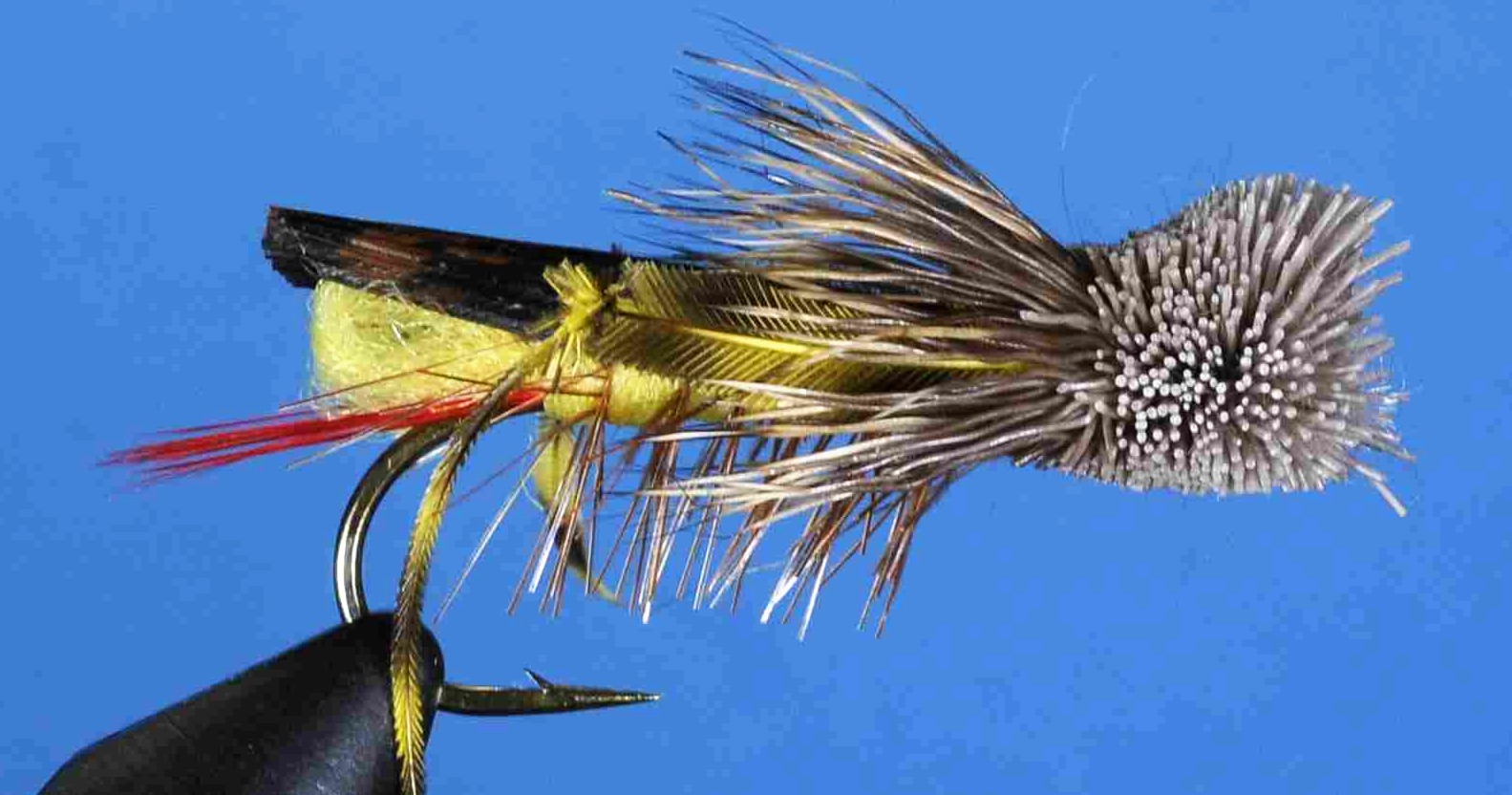 J21-09DHYL product image