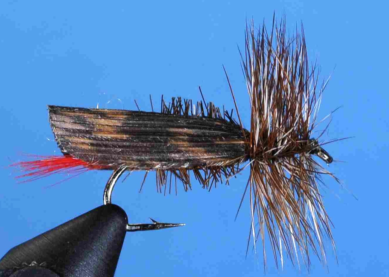 J21-09JHYL product image