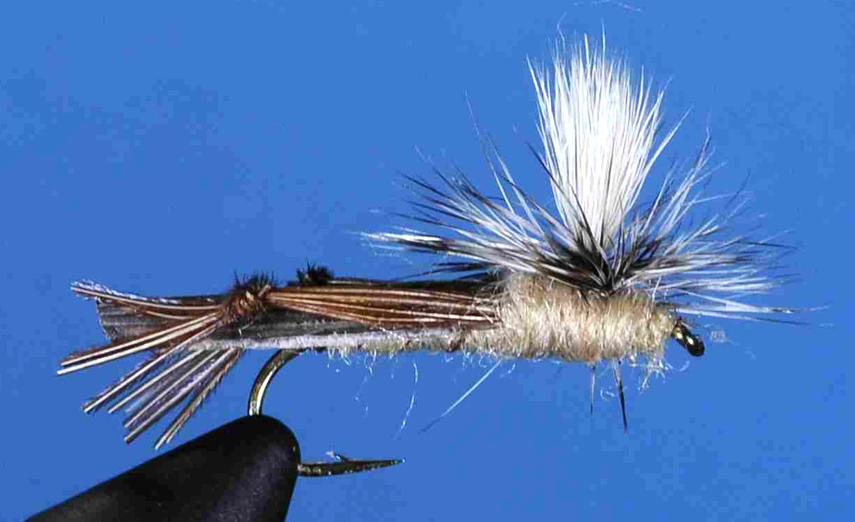 J21-09PARA product image