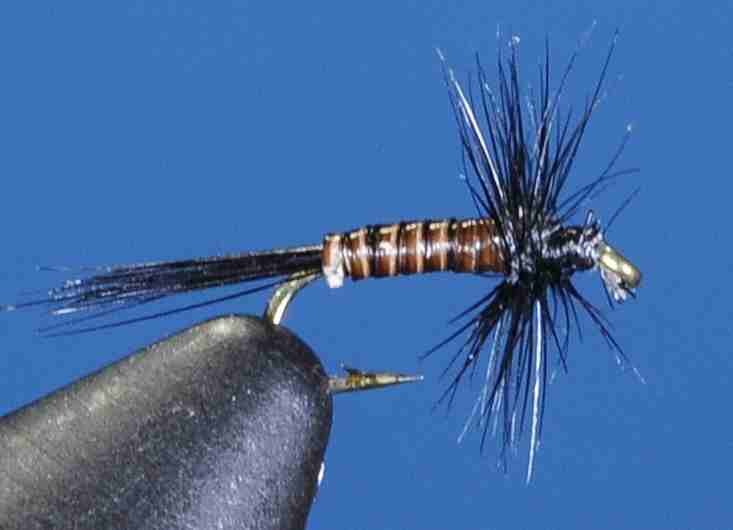 J21-10BKGN product image