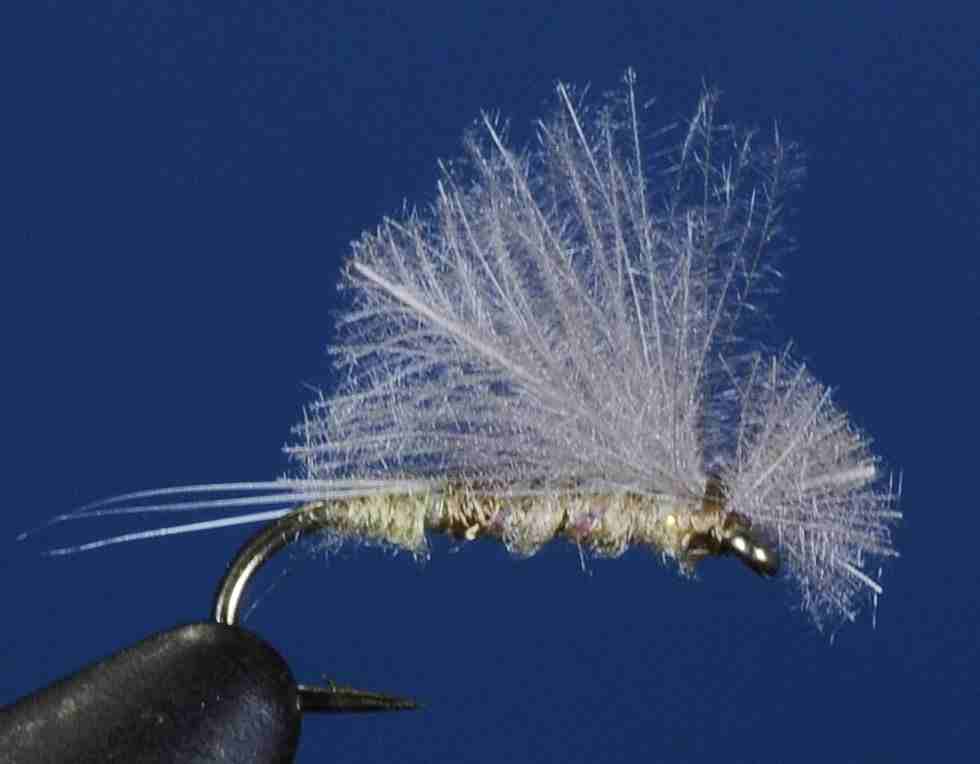 J21-10CDOL product image