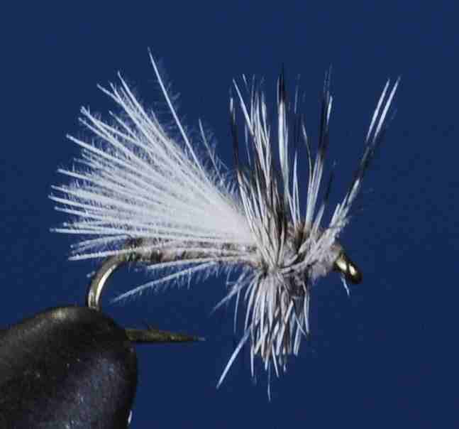 J21-10CQBK product image