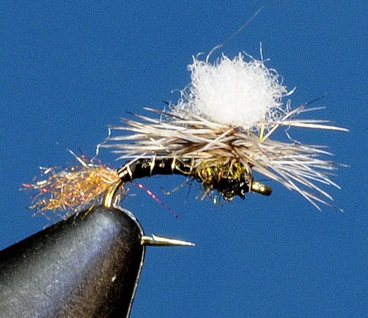 J21-10CWBB product image