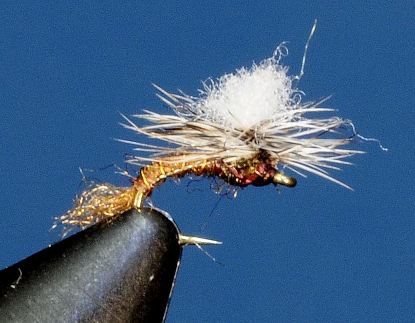 J21-10CWBD product image