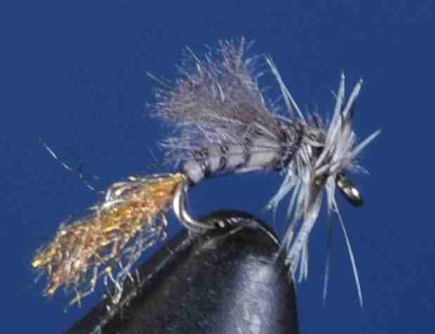 J21-10CWMD product image