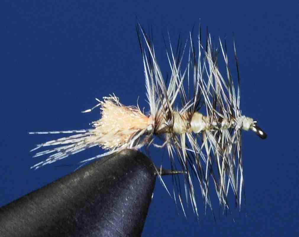 J21-10IMYL product image