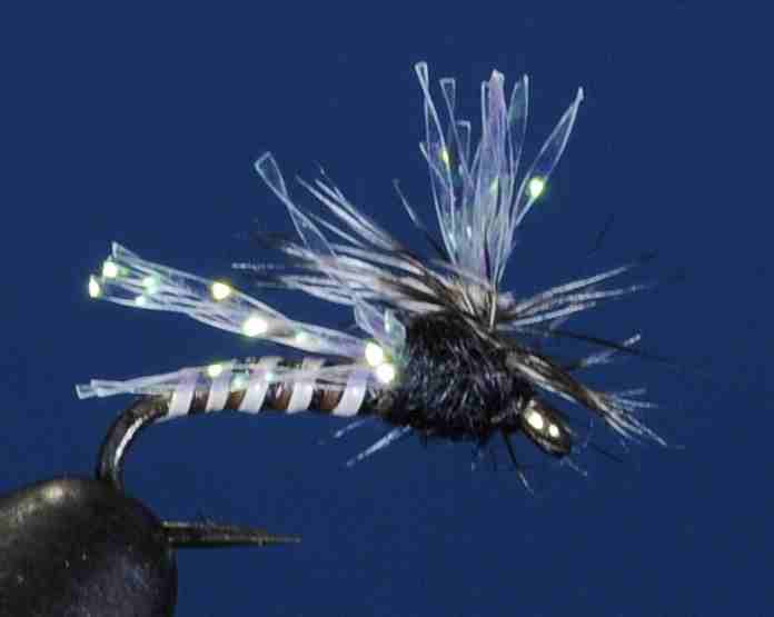 J21-10PMBK product image