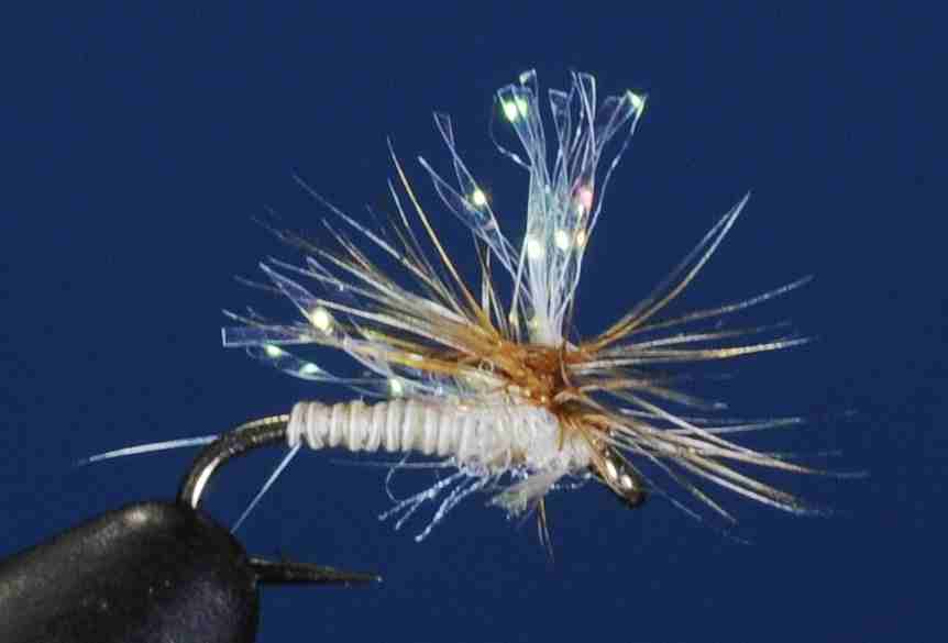 J21-10PMCM product image