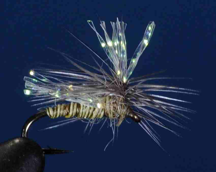 J21-10PMOL product image