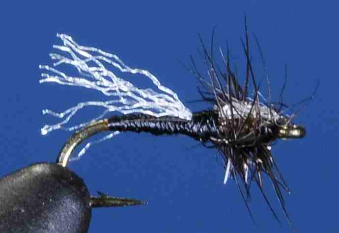 J21-10PWBK product image