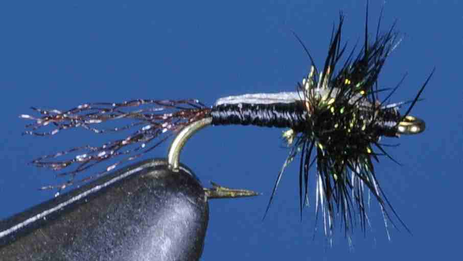 J21-10TDBK product image