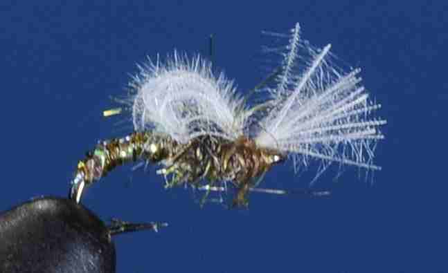 J21-10UMOL product image