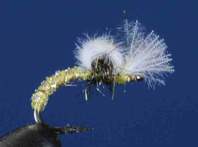 J21-10UMYL product image