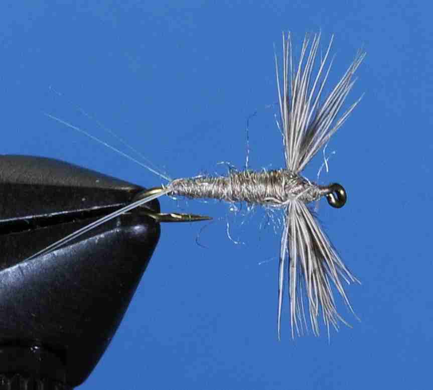 J21-11CALL product image