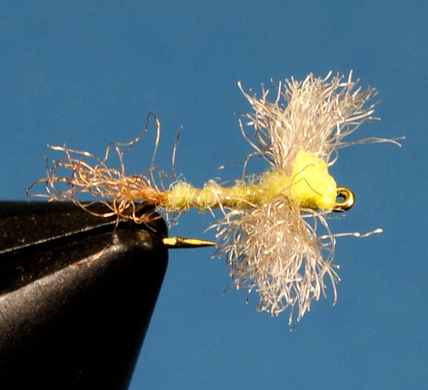 J21-11CFSP product image