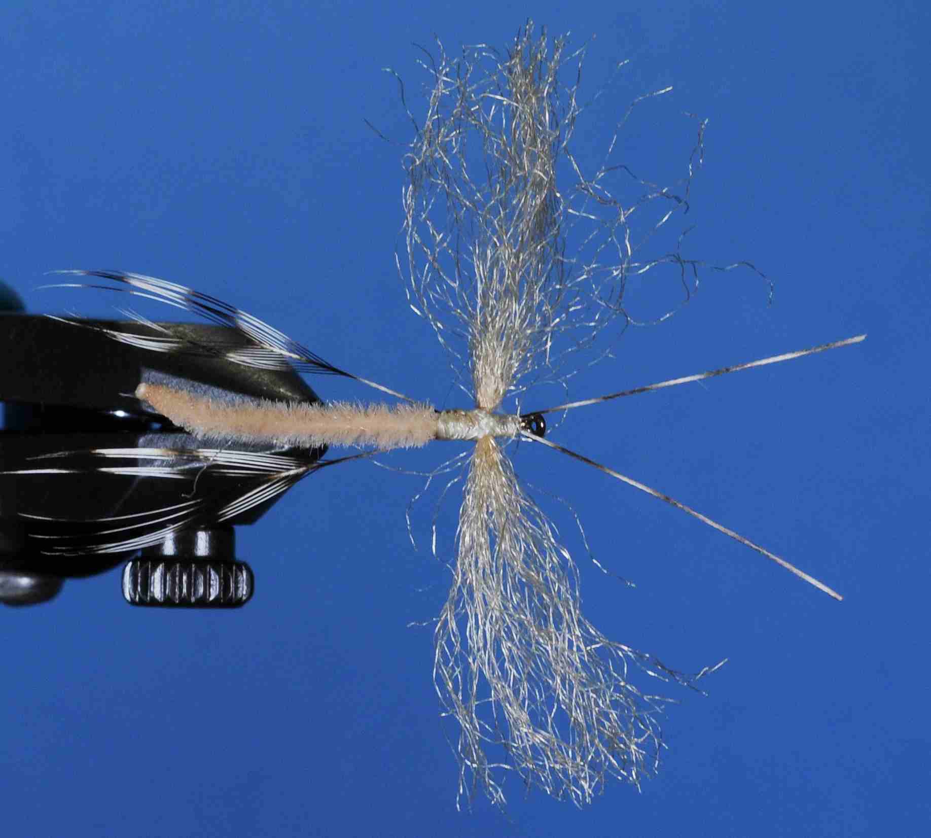 J21-11CFTN product image