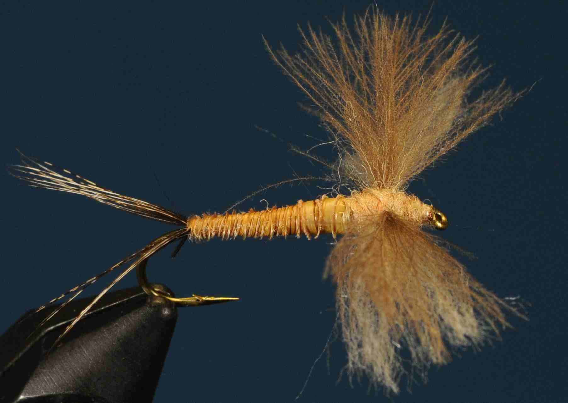 J21-11CWBS product image