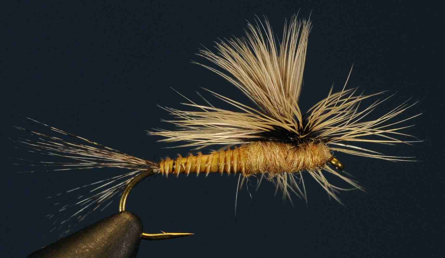 J21-11CWBU product image