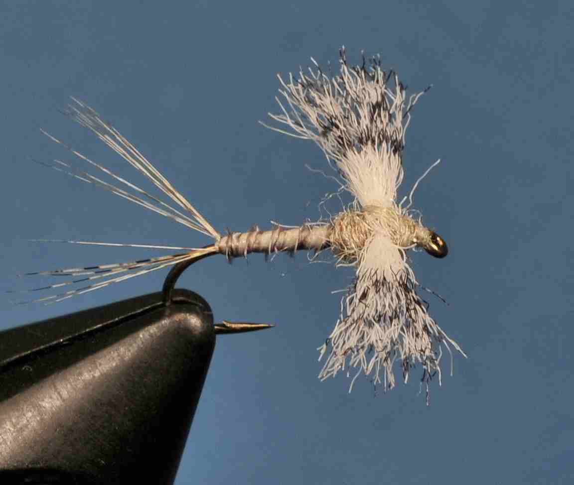 J21-11CWCS product image